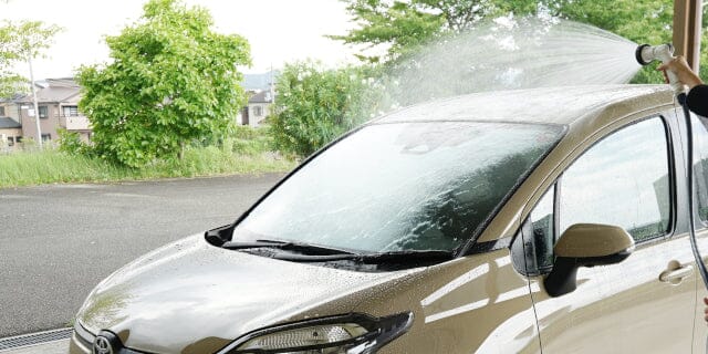 SOFT99 | ALAUNEN WASH BAG 超起泡雙面洗車海綿 Sponge for Car Wash P10