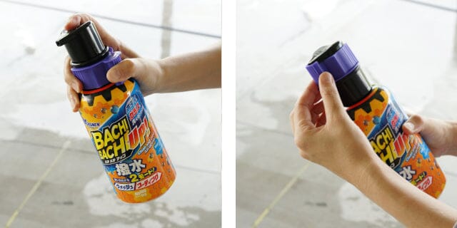 SOFT99 | 日本製 | 洗車鍍膜2合1洗車液 ALAUNEN BACHI BACHI UP! Clean and Coat P5