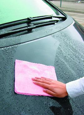 日本 AION 吸水王 合成羚羊皮巾 Plas Senu R302 MOOBI 香港網上汽車專門店 p5