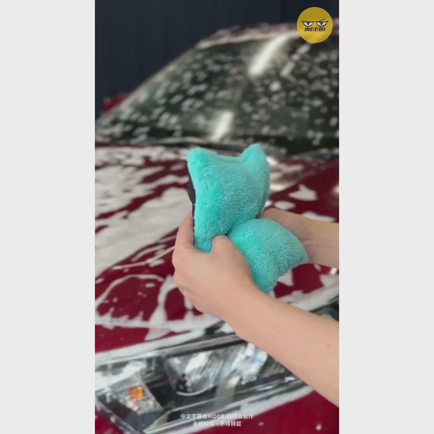 ALAUNEN WASH BAG 超起泡雙面洗車海綿 Sponge for Car Wash 示範
